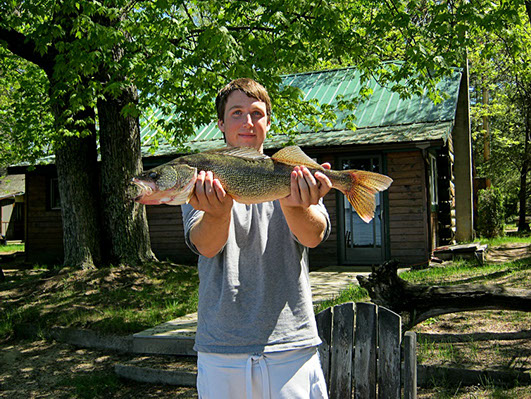 Walleye catch at Cosy Cove